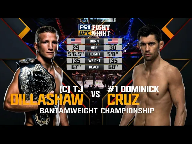 ufc 249 free fight: dominick cruz vs tj dillashaw